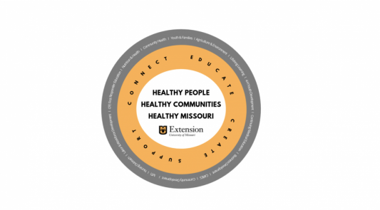 Community Wellbeing Report