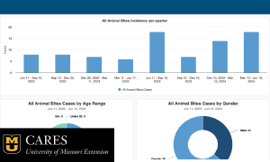 Communicable Disease Dashboard