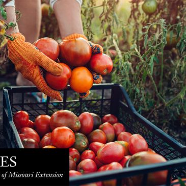 Agriculture & Environment Report