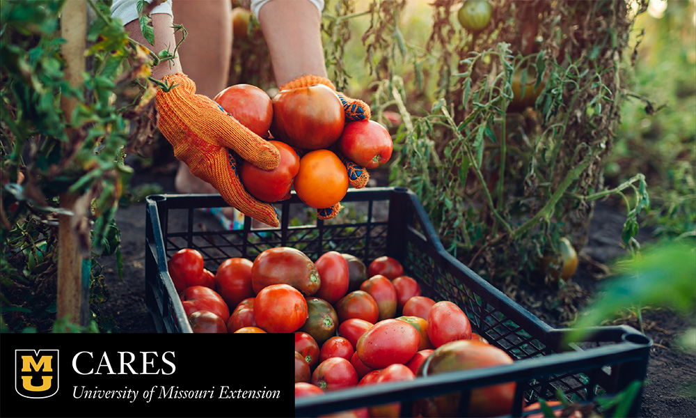 ag-env-report