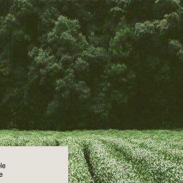 Crop Cover Economic Decision Support Tool