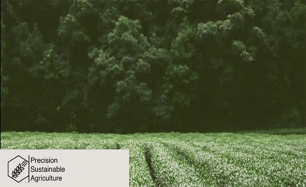 cover-crop-tool