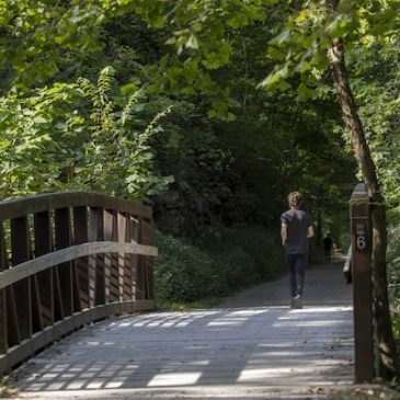 Community Needs Assessment